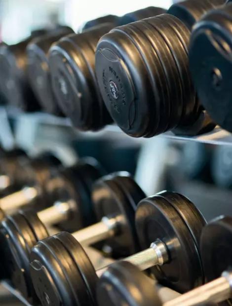 Set di manubri in una palestra, pronti per l'allenamento di forza.